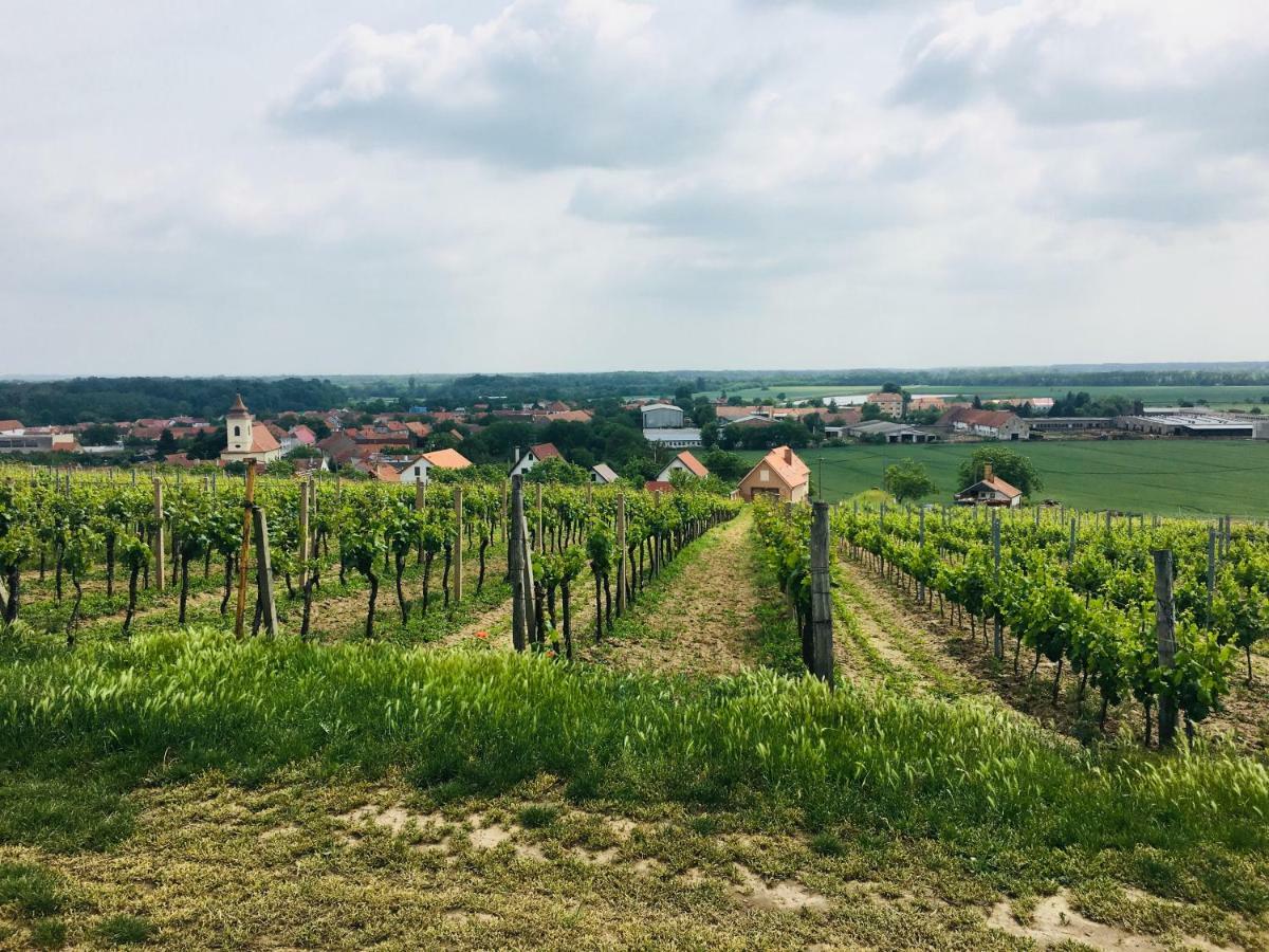 Ubytovani U lišáka FOXE Villa Bulhary Exterior foto