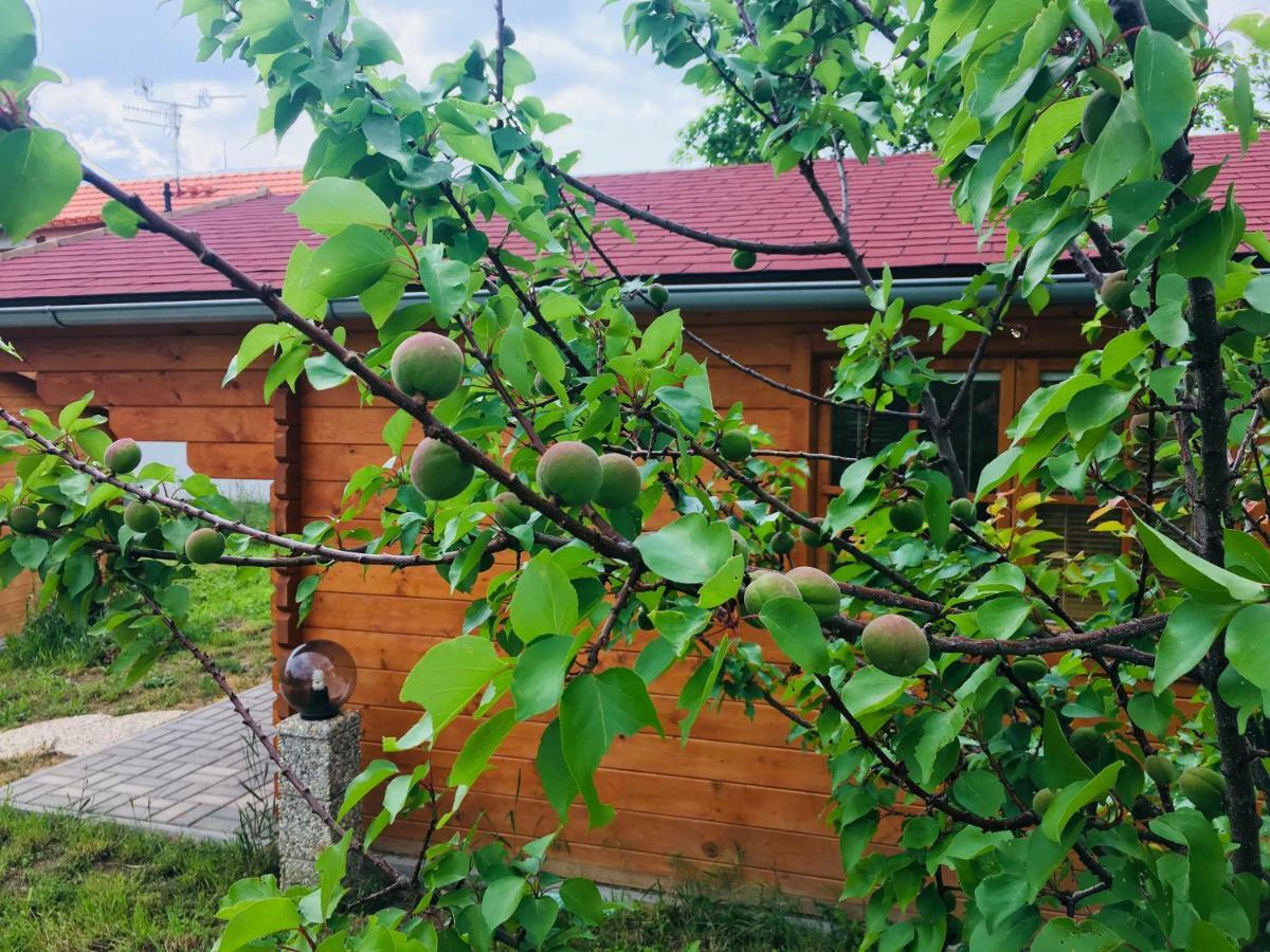 Ubytovani U lišáka FOXE Villa Bulhary Exterior foto